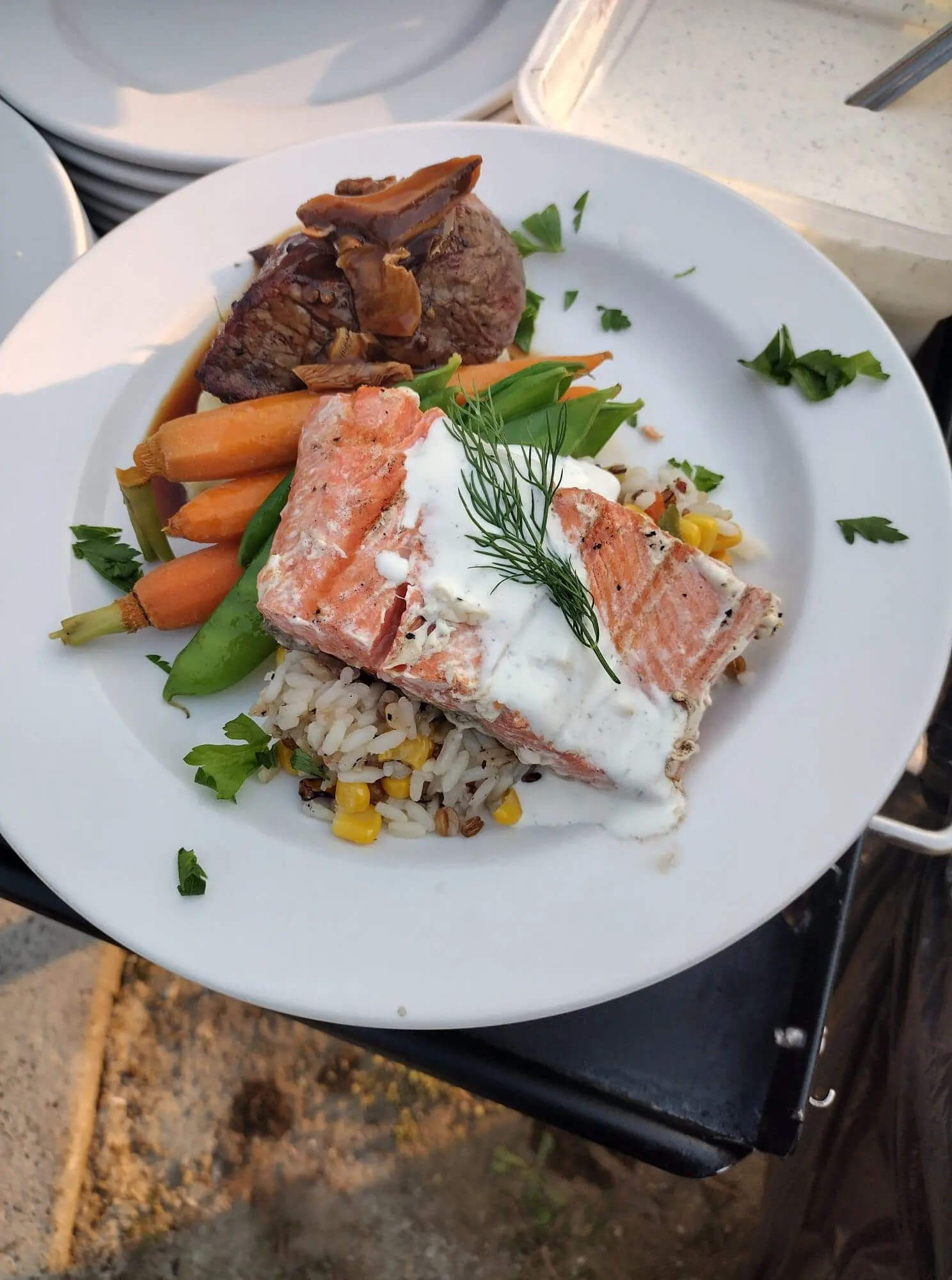 Beef Medallion and Salmon